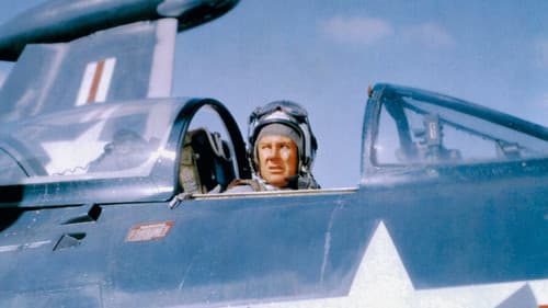 Verwegene Landung Bild 1