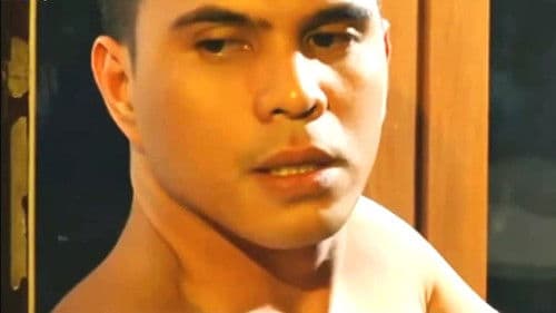 M2M 4:Exxxtreme Bild 1