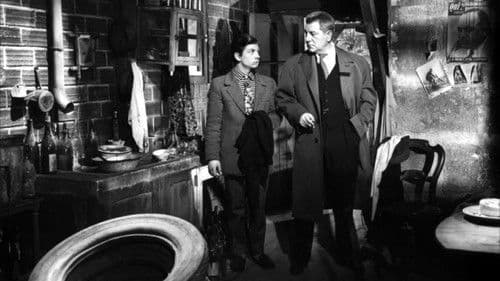 Wie verlorene Hunde Bild 3