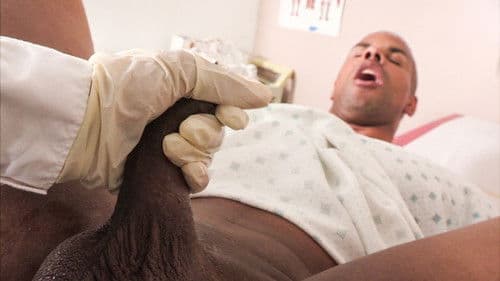 Dana Vespoli's POV Boy-Toy Strap Adventures Bild 4