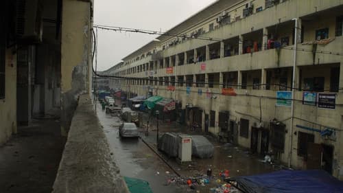 青春（春） Bild 8