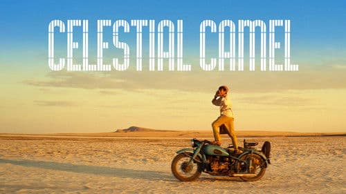 Небесный верблюд Bild 2