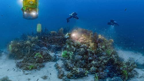 28 Tage unter dem Mittelmeer – Station Bathyale Bild 5