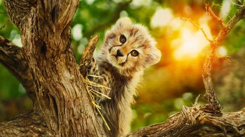 Für die Wildnis geboren Bild 3