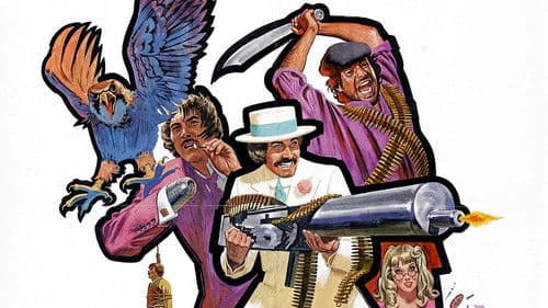 Zwei Companeros Bild 1