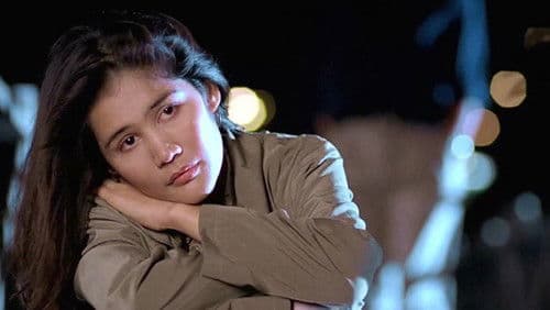 ดอกไม้ในทางปืน Bild 1