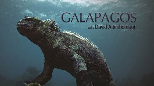 Galapagos 3D with David Attenborough Bild 3