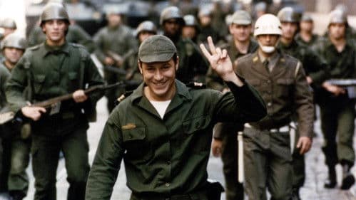 Nelken für die Freiheit Bild 4