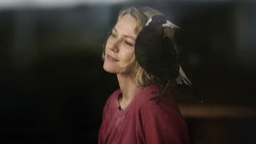 Beflügelt – Ein Vogel namens Penguin Bloom Bild 5