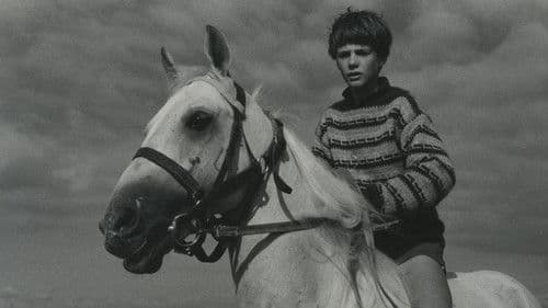 Der Junge, der Pferde liebte Bild 4