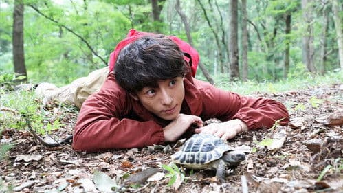 僕らは奇跡でできている Bild 1