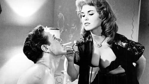 Please Don't Touch Me! Bild 2