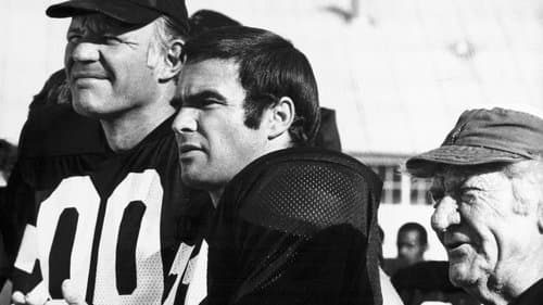 Die Kampfmaschine Bild 2