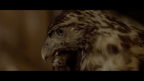 Asuntos internos Bild 1