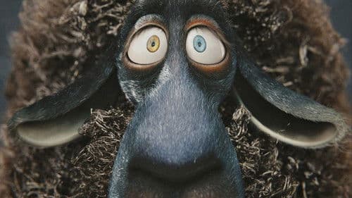 Cosmos Laundromat Bild 1