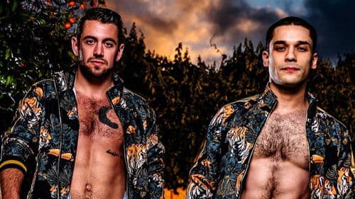 Rod's Room: Vol 14 Bild 4