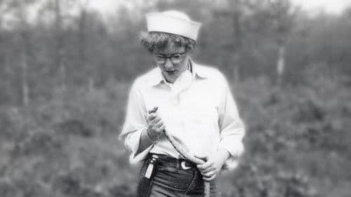 Joanne Martin: A Life in Miniature Bild 1