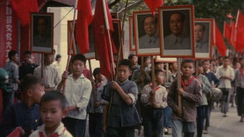 No Intenso Agora Bild 4