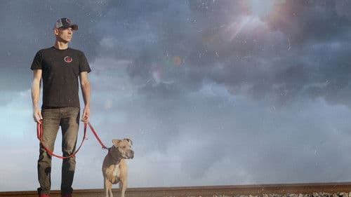 Zweite Chance für Hunde Bild 5