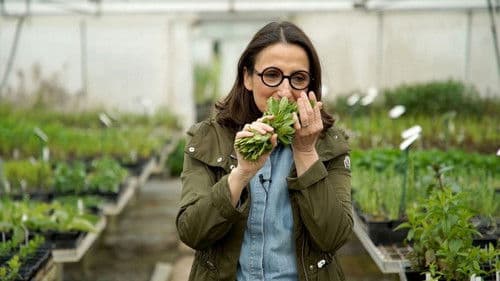 La vérité si je menthe Bild 1