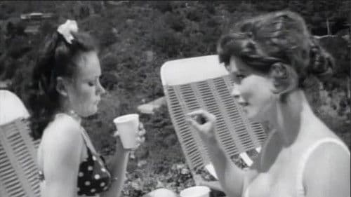 Alice in Acidland Bild 3