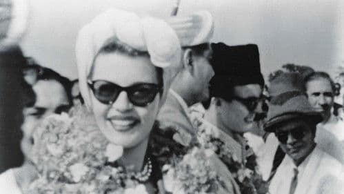 Champagne Safari Bild 2