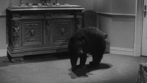 Der Würgeengel Bild 7