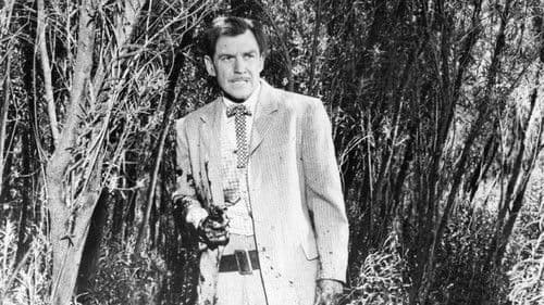 Cisco der Banditenschreck Bild 5