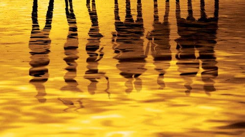 Kleine wahre Lügen Bild 2