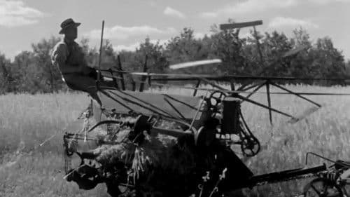 Cornet at Night Bild 5