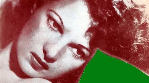 Call of the Jungle Bild 1