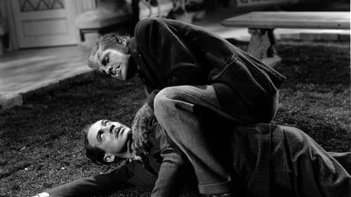 Der Werwolf von London Bild 7