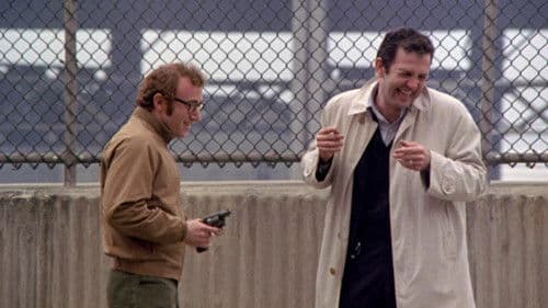 Woody, der Unglücksrabe Bild 5