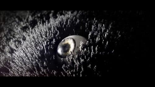 Spaghetti Ramen Bild 7