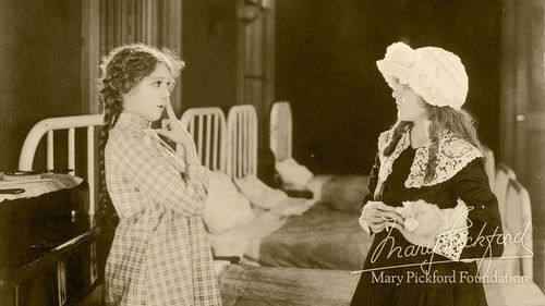 Daddy-Long-Legs Bild 6