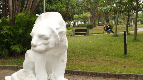 A Sete Palmos de Santos Bild 6