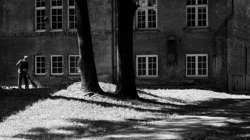 Das Verschwinden des Josef Mengele Bild 5