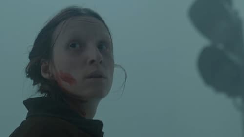 Rozkwit zimowy Bild 1