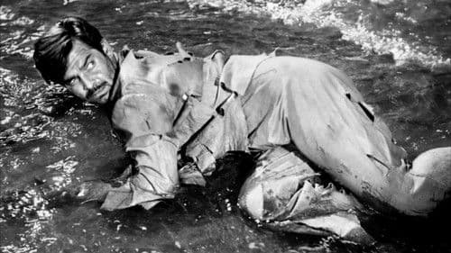 Die wunderbare Rettung Bild 5