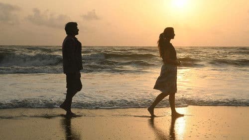 డిస్కో రాజా Bild 4