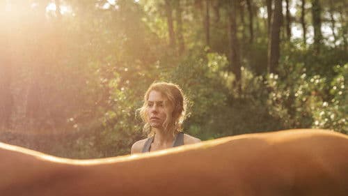 Μικρά Όμορφα Άλογα Bild 1