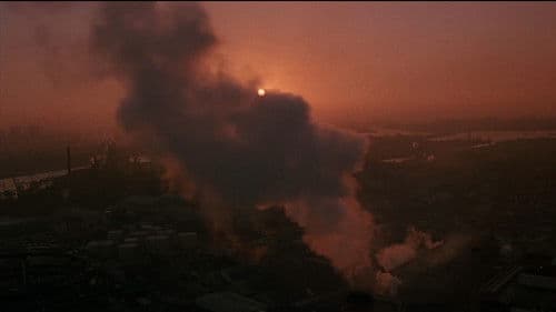 New Rose Hotel Bild 7