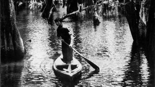 Louisiana Story Bild 1