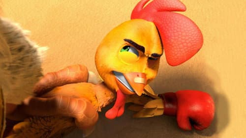 Un gallo con muchos huevos Bild 8