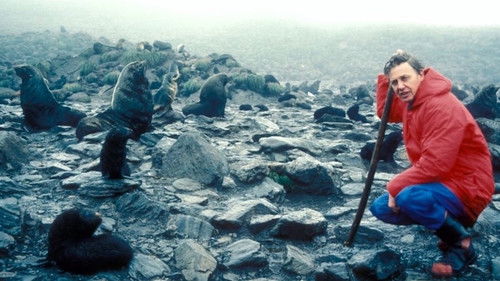 The Living Planet Bild 1