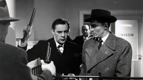 Mod og mandshjerte Bild 5