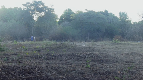 Siempre Andamos Caminando Bild 1