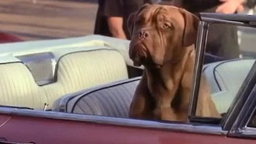 Tequila und Bonetti Bild 3