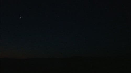 The Skull and the Arm Bild 1