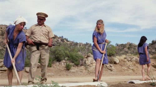 Girls for Rent Bild 5